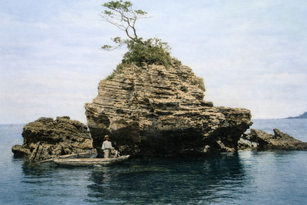 image12