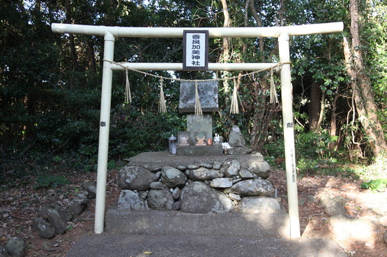 image181