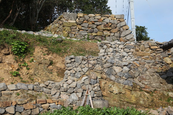image269