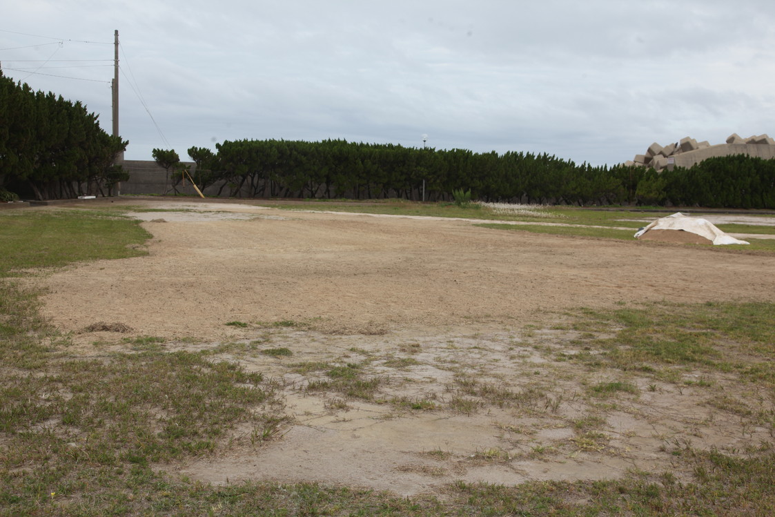image356