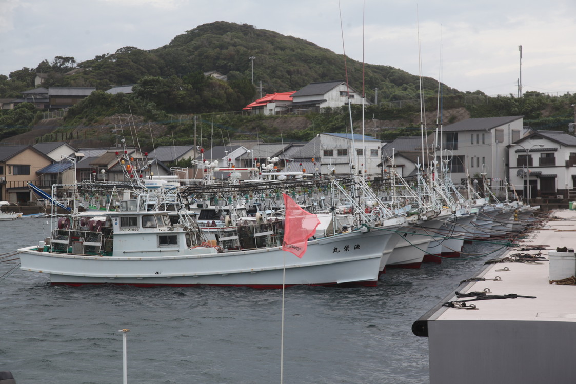 image365
